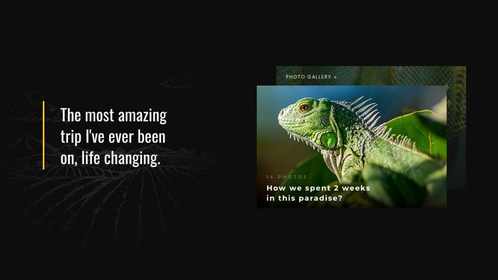 Nature Slider PACK | LayerSlider Premium Slider Template